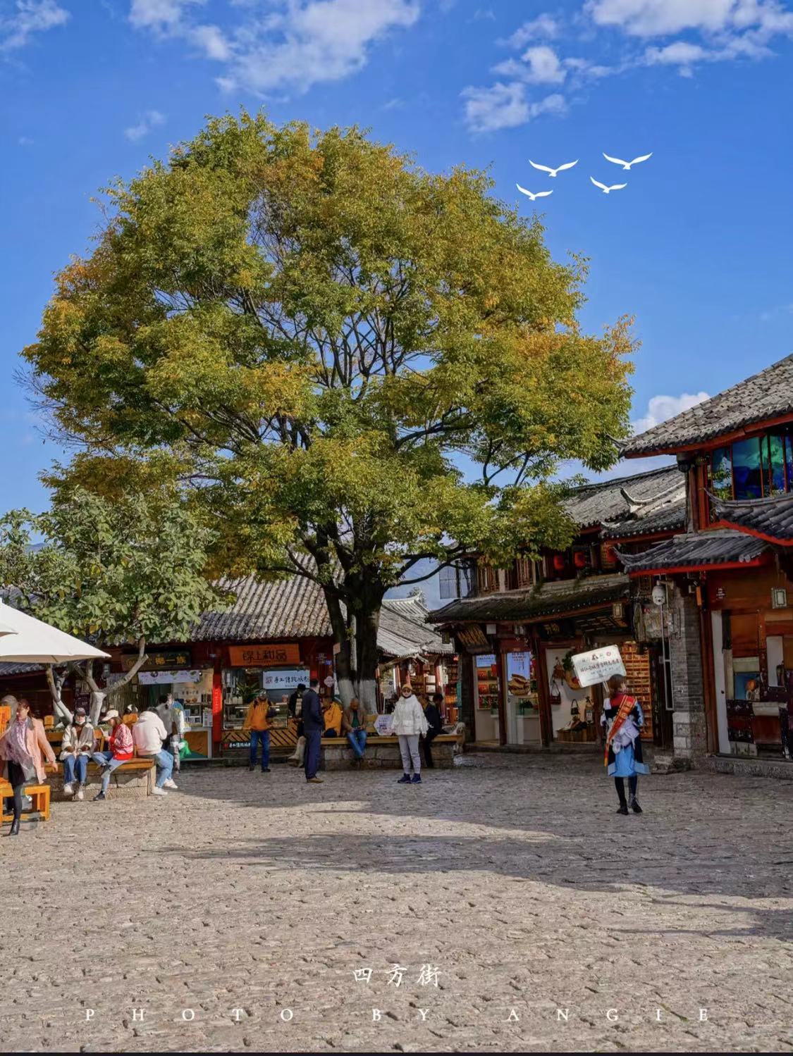 WeChat Image_20220918225331.jpg