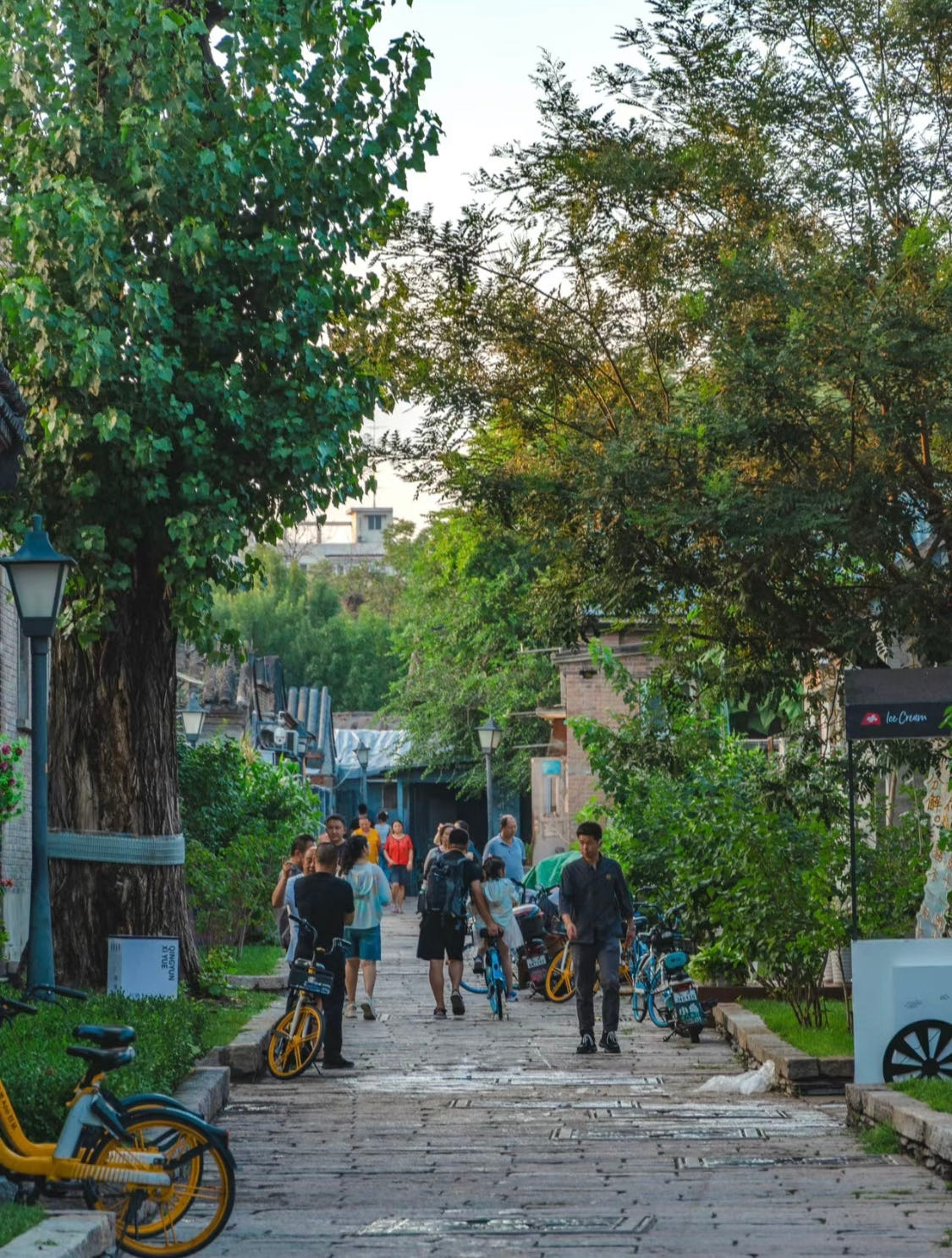 Weixin Image_20230927163535.jpg