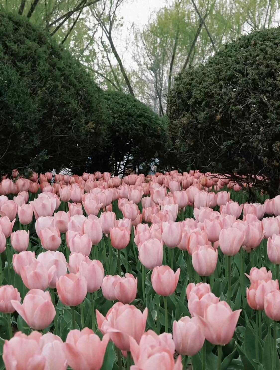 WeChat Image_20220910235915.jpg