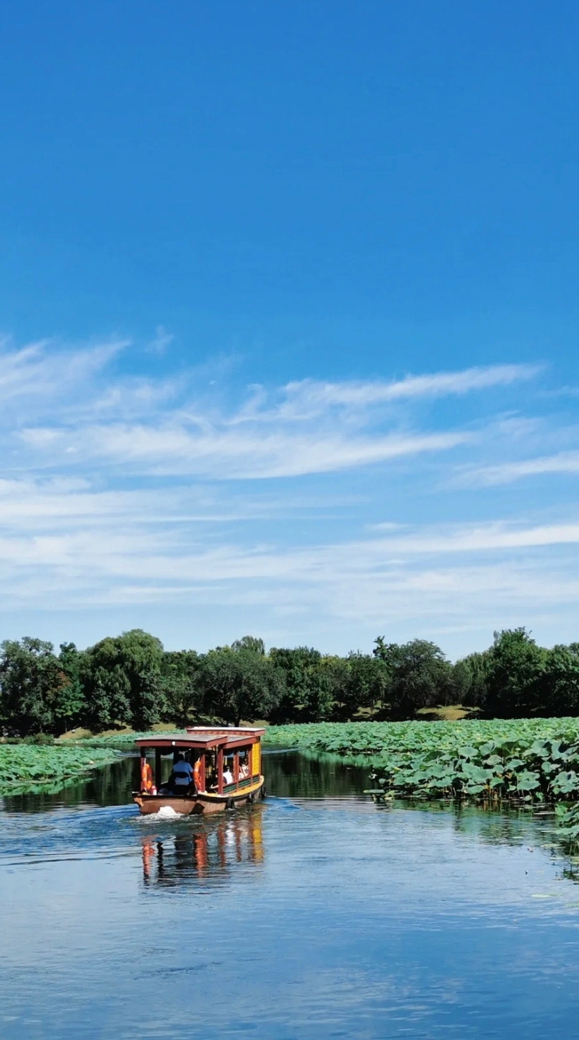 WeChat Image_20221124175037.jpg