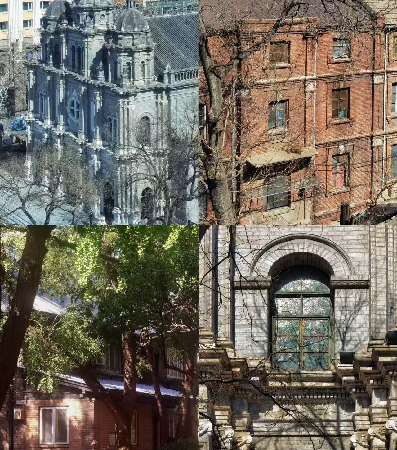 Weixin Image_20250428143838.jpg