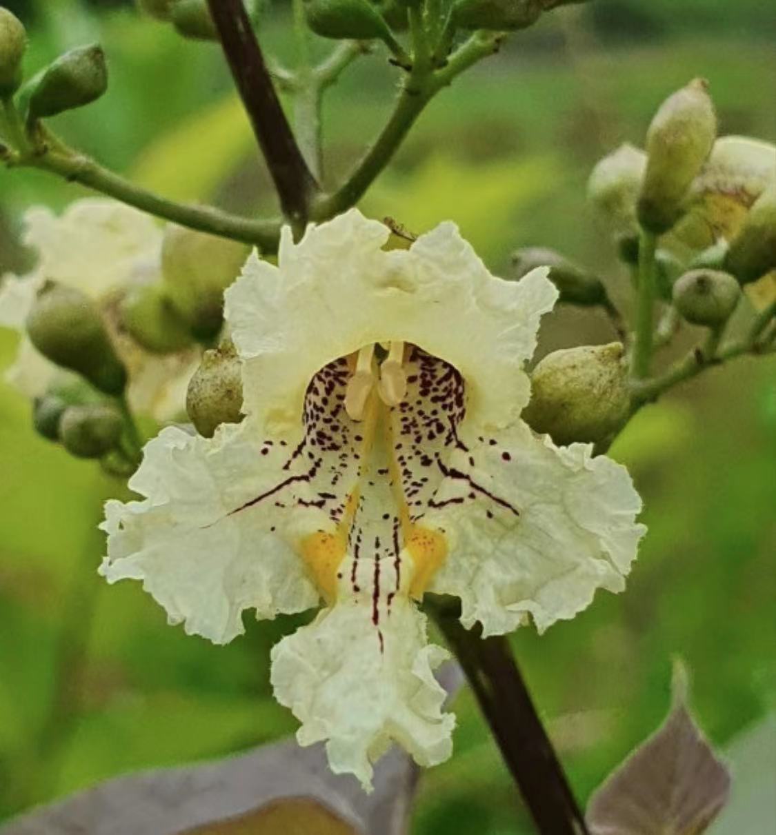 WeChat Image_20230210172224.jpg