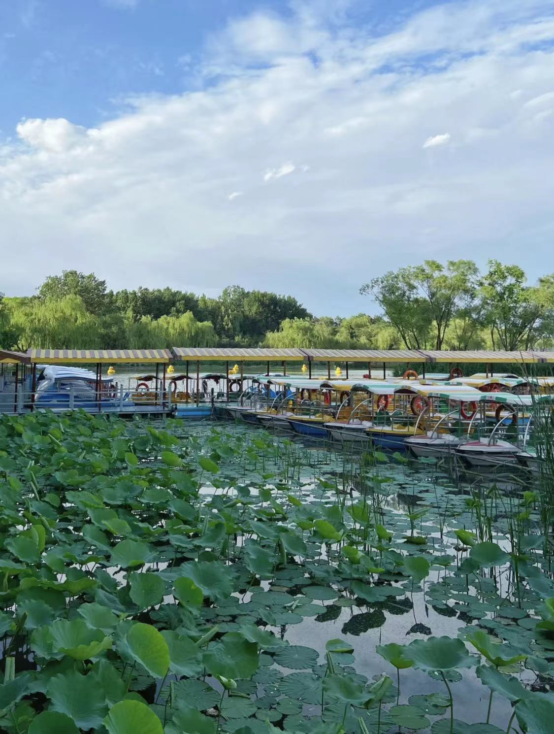 WeChat Image_20220910235907.jpg