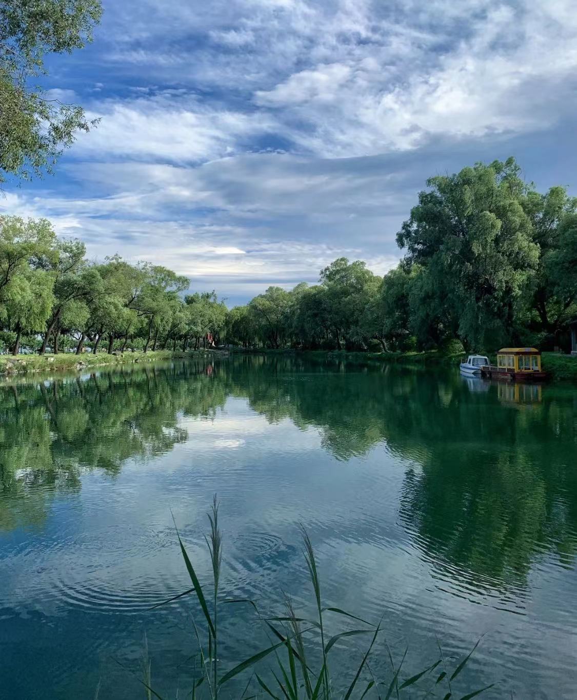 WeChat Image_20230205194552.jpg