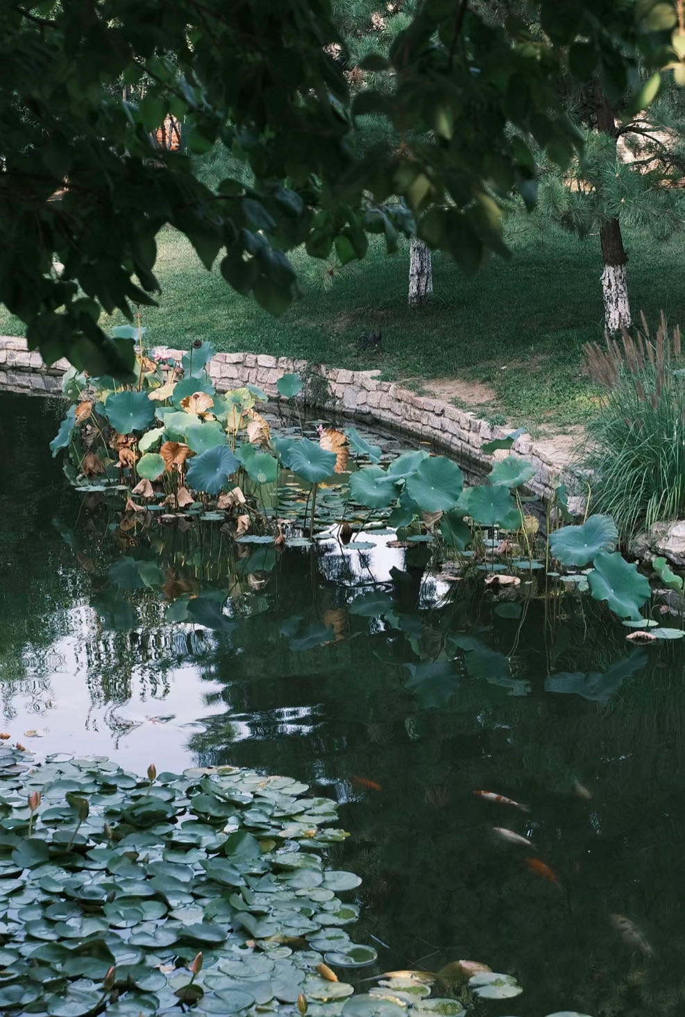 Weixin Image_20230927154850.jpg