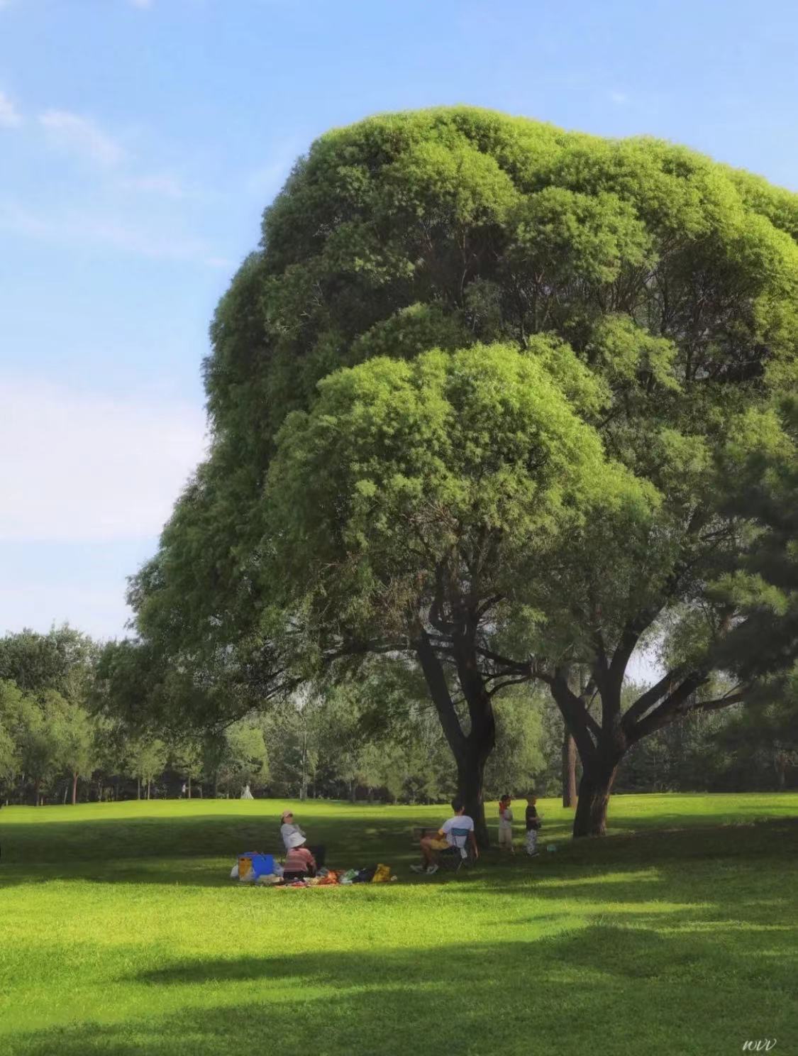 WeChat Image_20220910235911.jpg