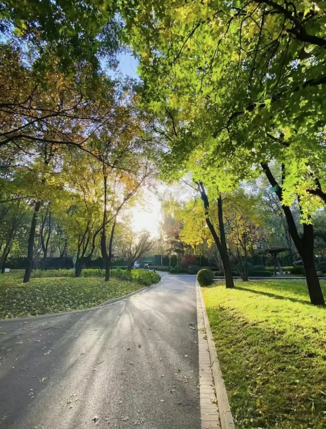 WeChat Image_20220826194608.jpg