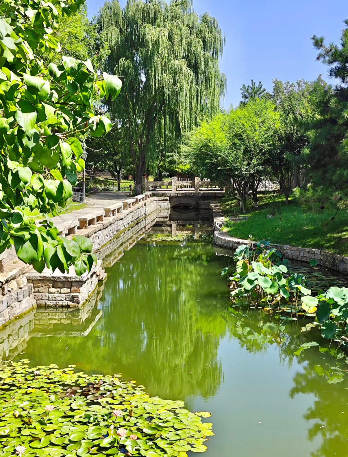 Weixin Image_20230927154845.jpg