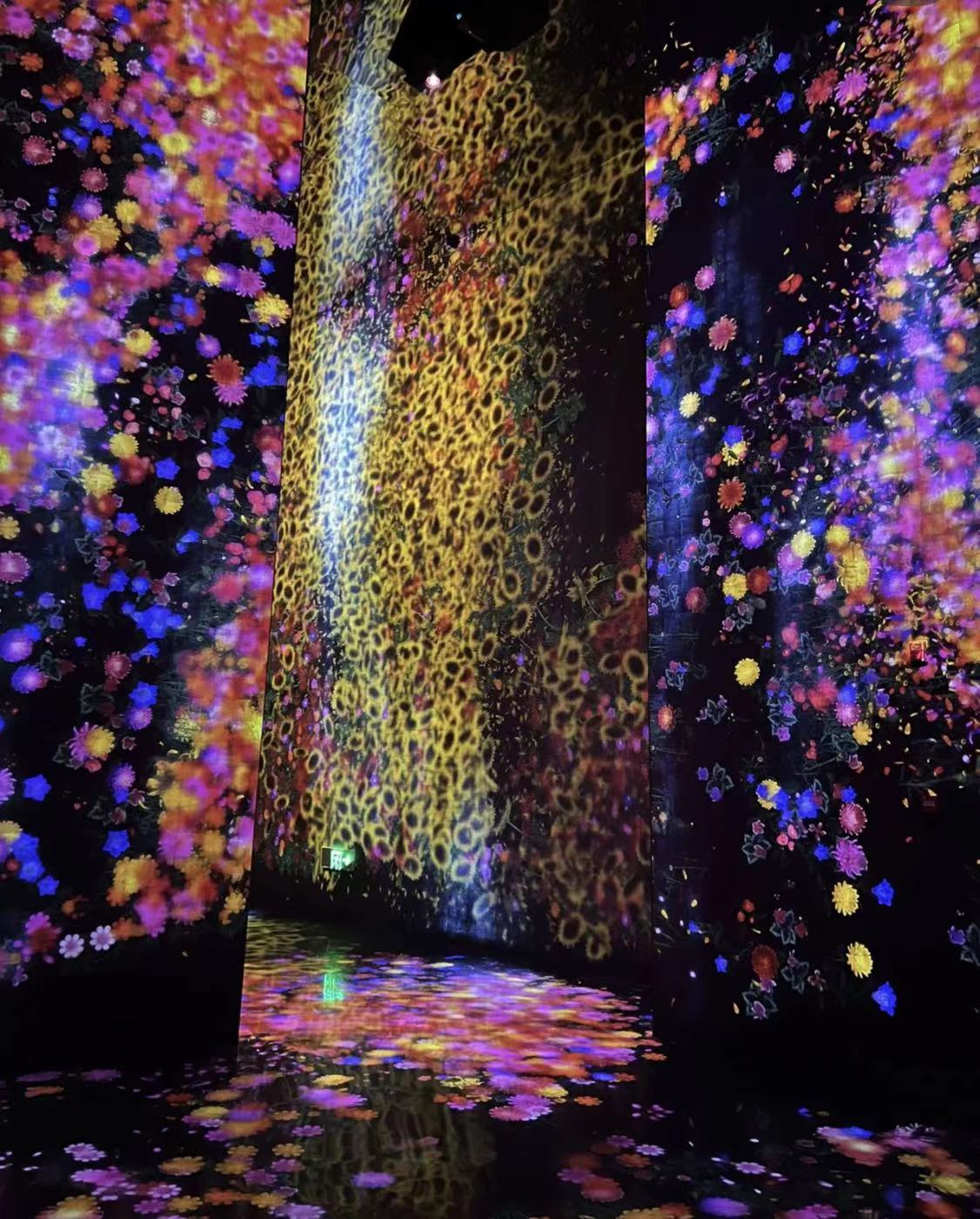 WeChat Image_20221031235226.jpg