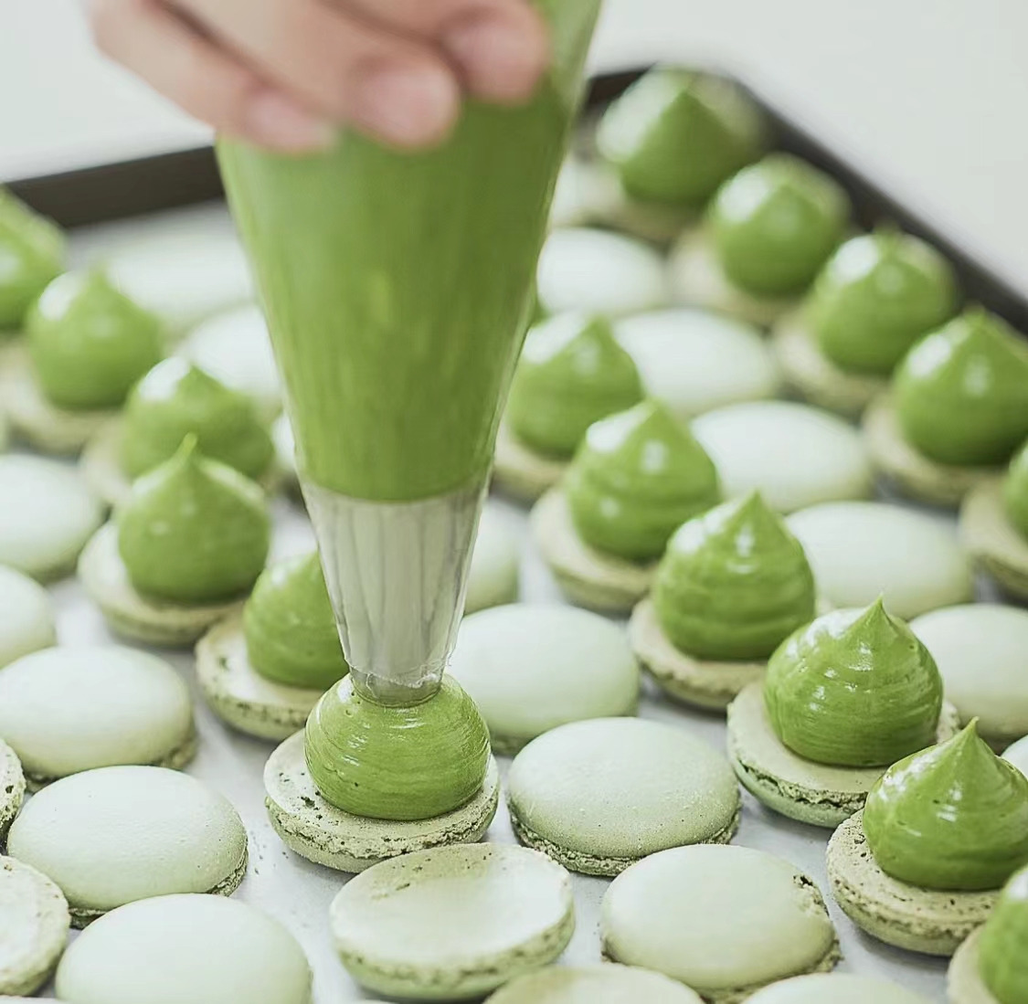 WeChat Image_20220904034001.jpg