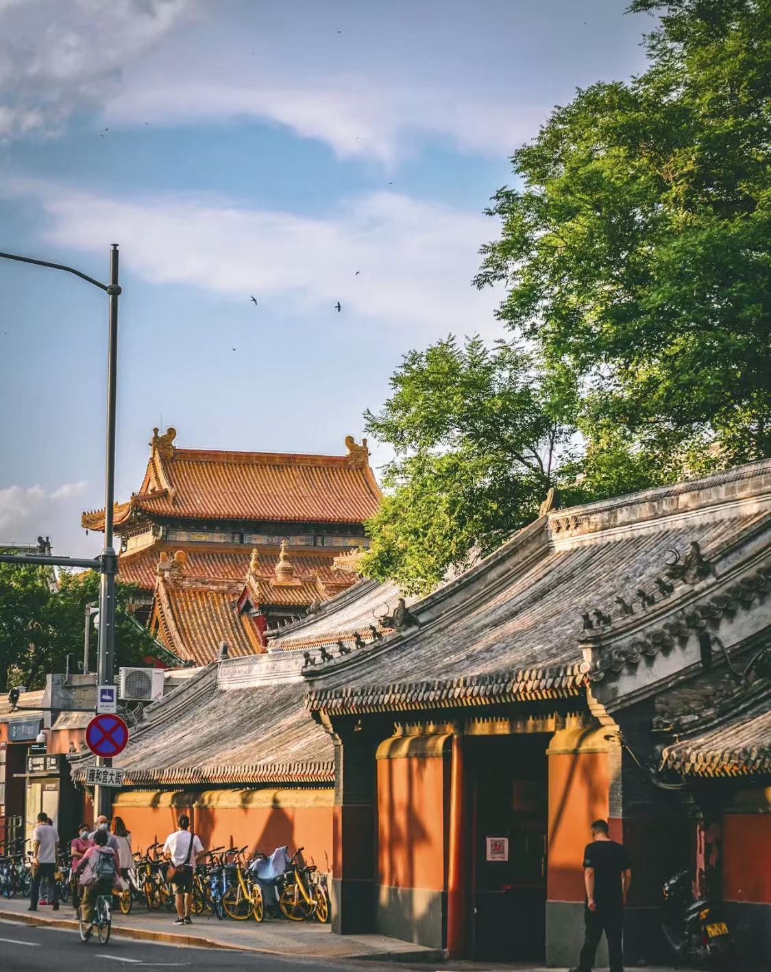 WeChat Image_20230210172137.jpg