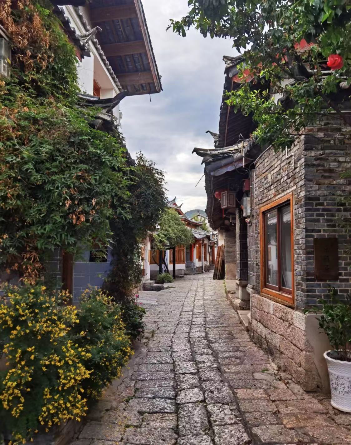 WeChat Image_20220918225253.jpg