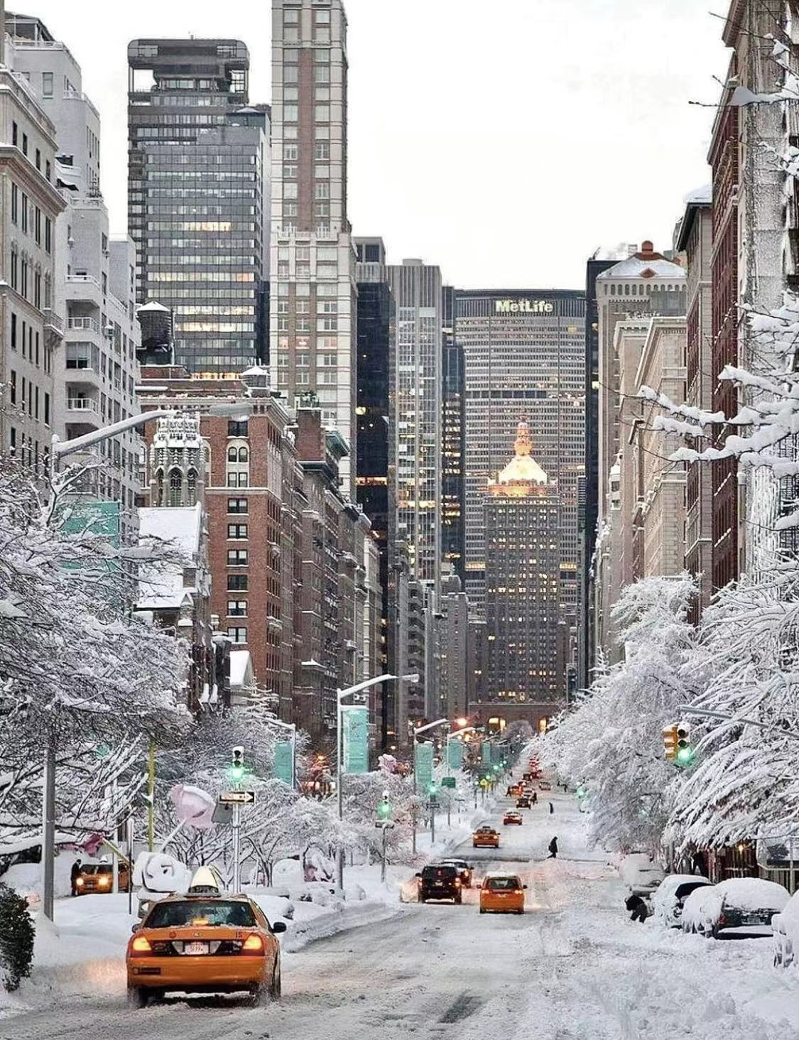 WeChat Image_20230201235620.jpg