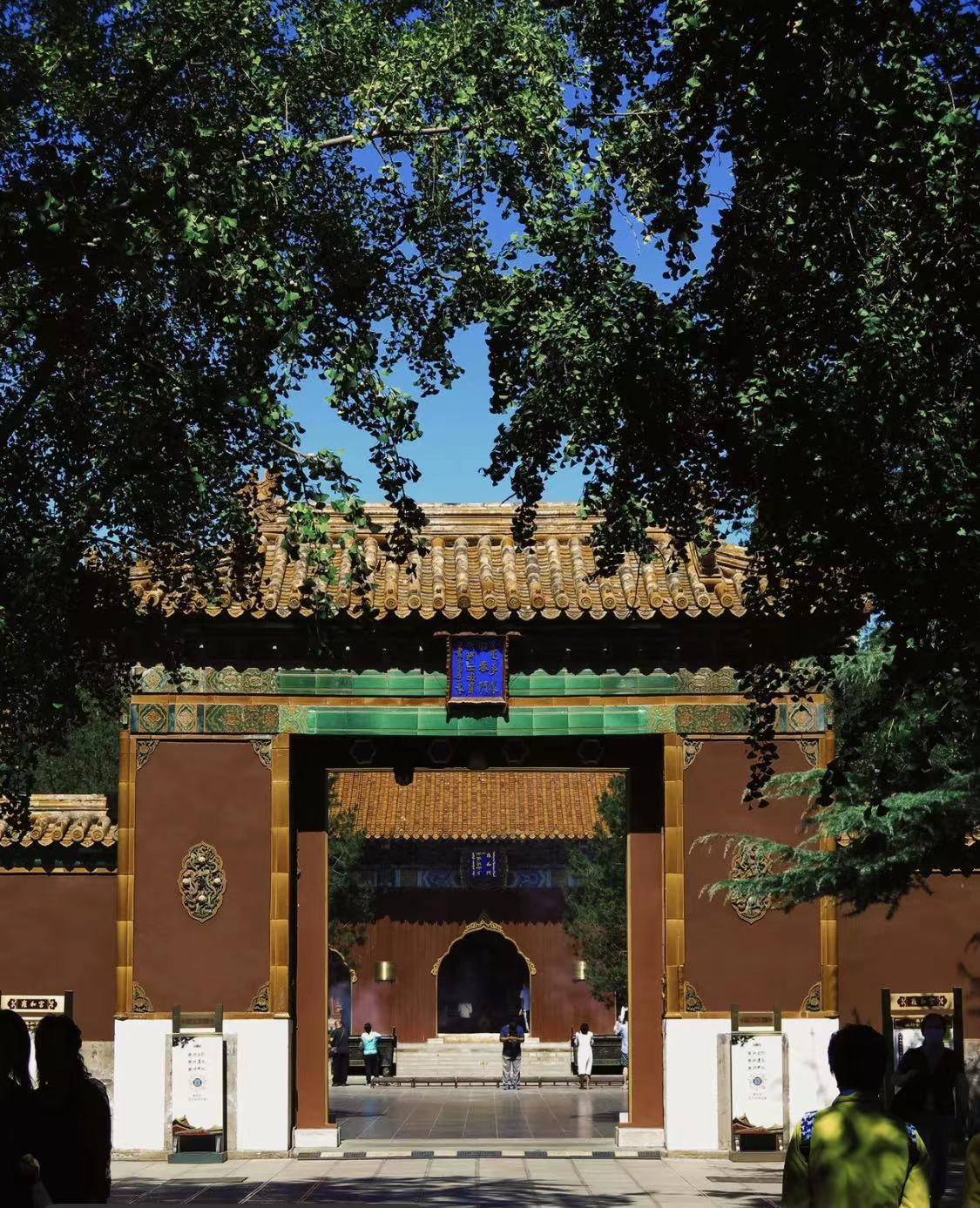 WeChat Image_20230210172203.jpg