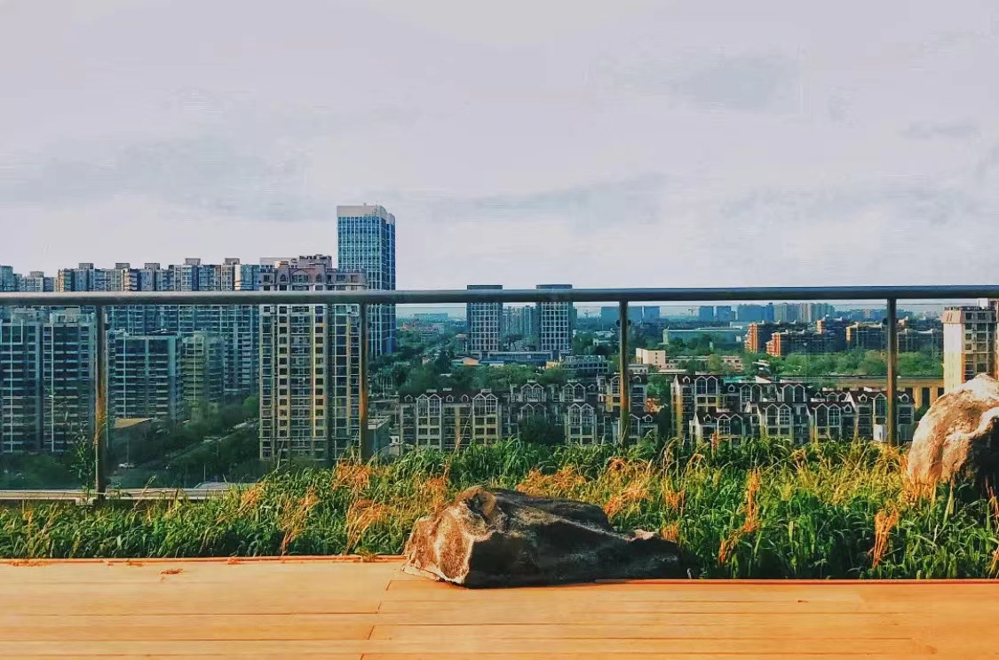 WeChat Image_20221031235247.jpg