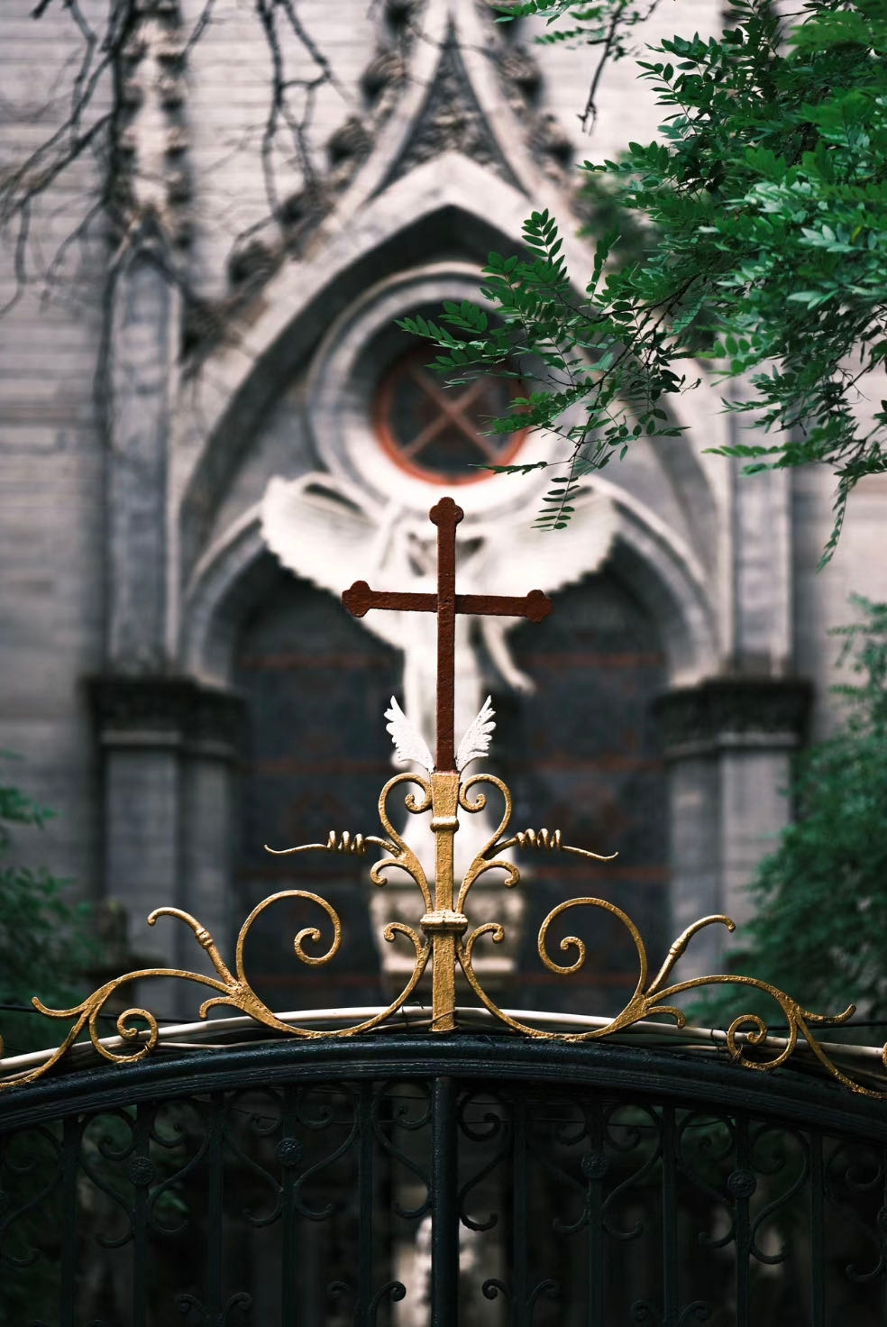 Weixin Image_20230830014209.jpg