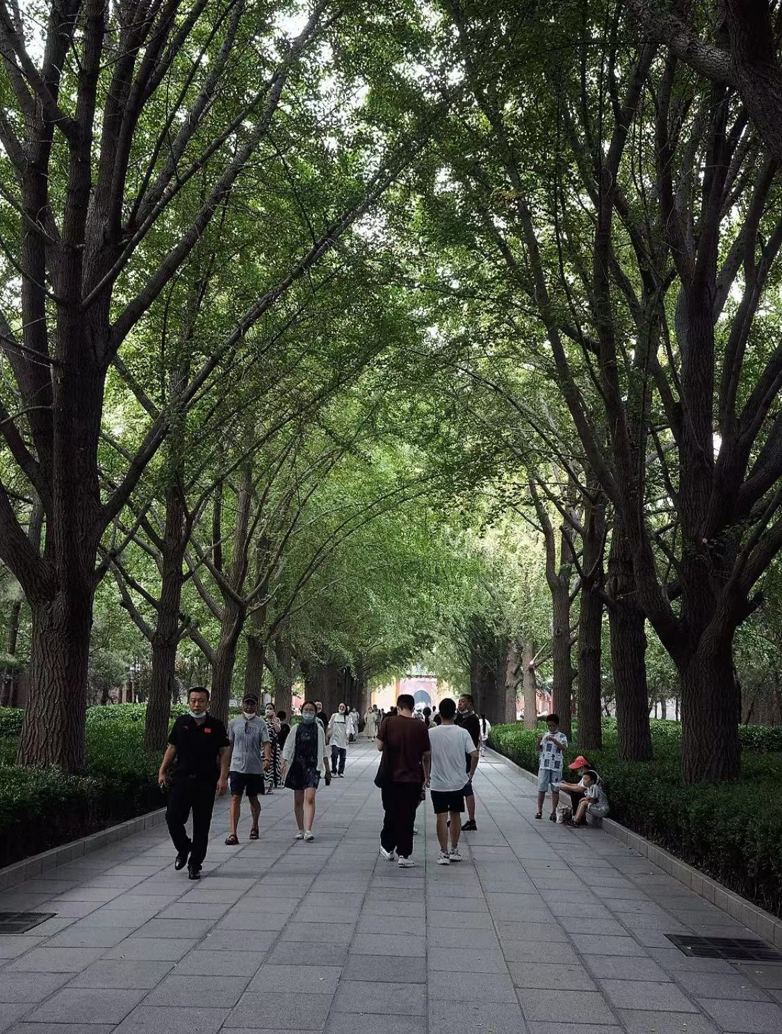 WeChat Image_20230210172155.jpg