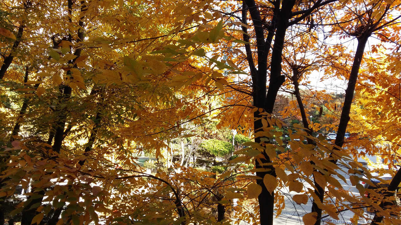 다운로드 (1).jpg