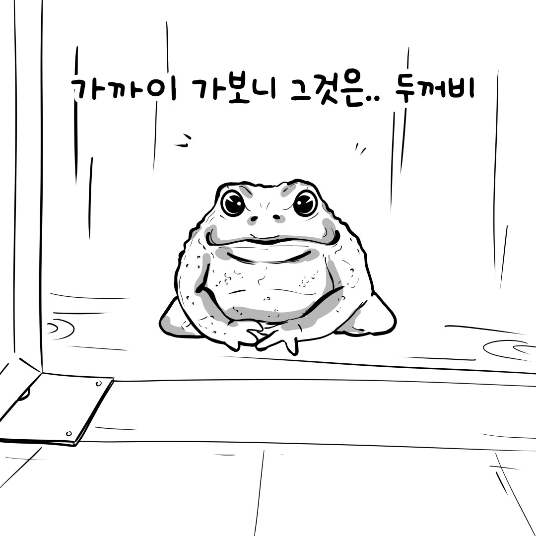toad03.jpg