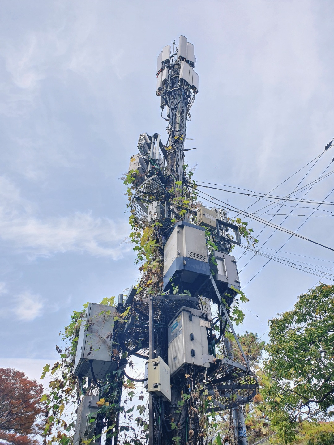 8주차_주간과제_52기 광고전공 김민수.jpg