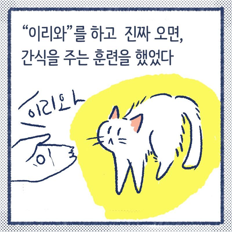 이리와훈련2.jpg