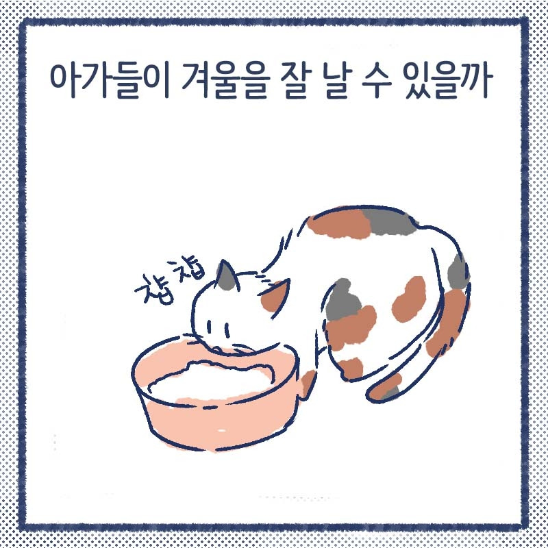 길냥의겨울5.jpg