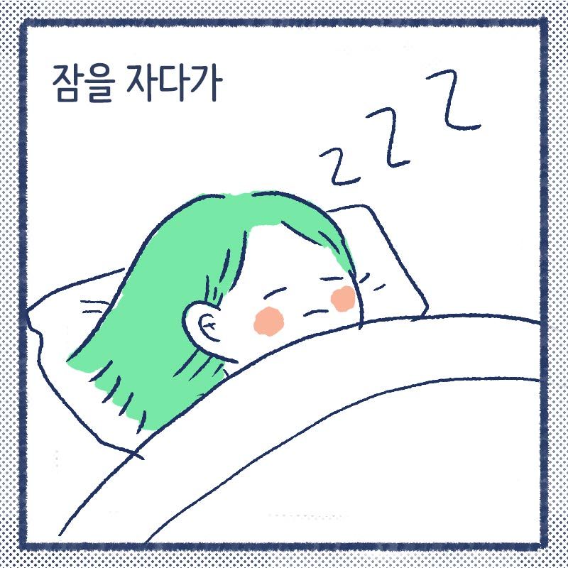 차분한 집사들6.jpg