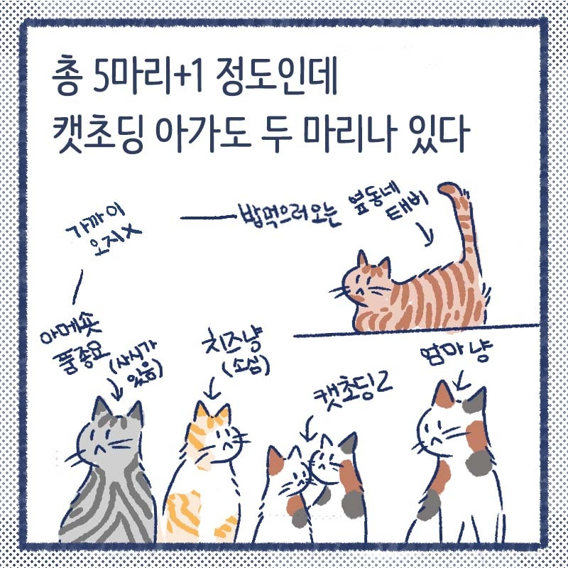 길냥의겨울2.jpg