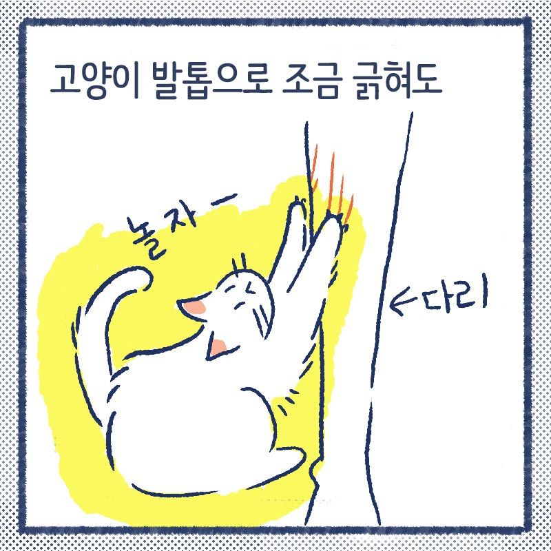 차분한 집사들4.jpg