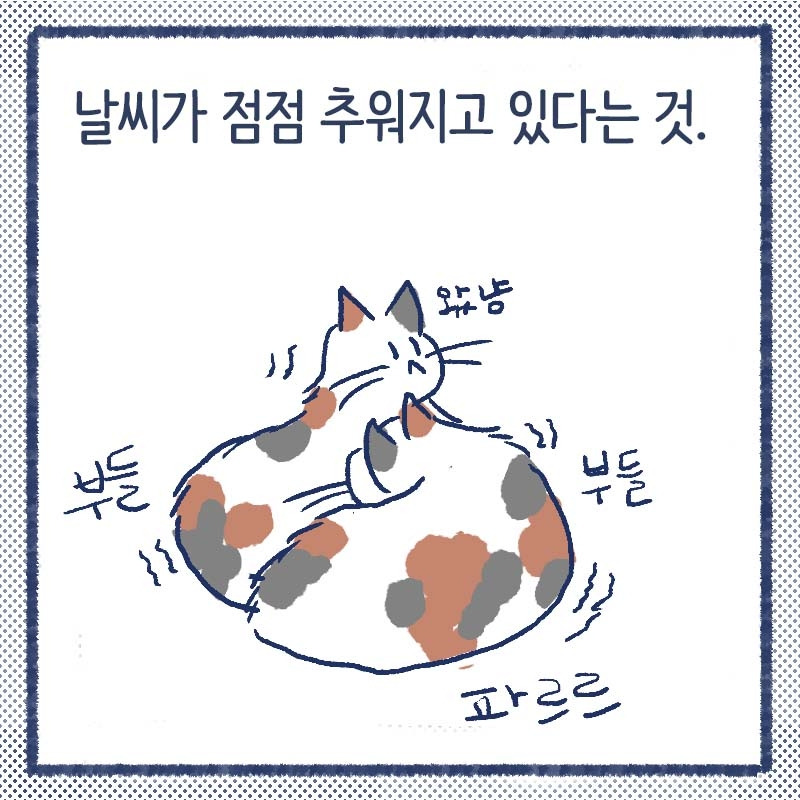 길냥의겨울4.jpg