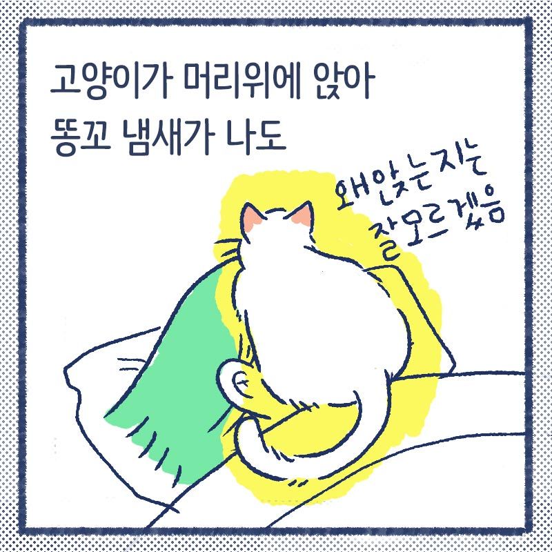 차분한 집사들7.jpg