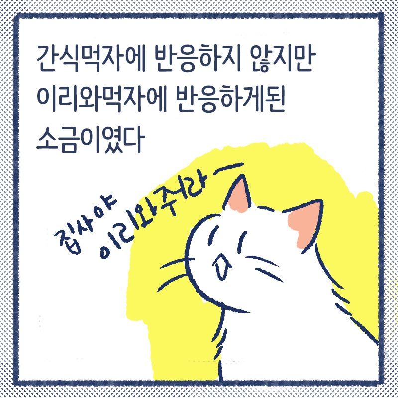 이리와훈련5.jpg