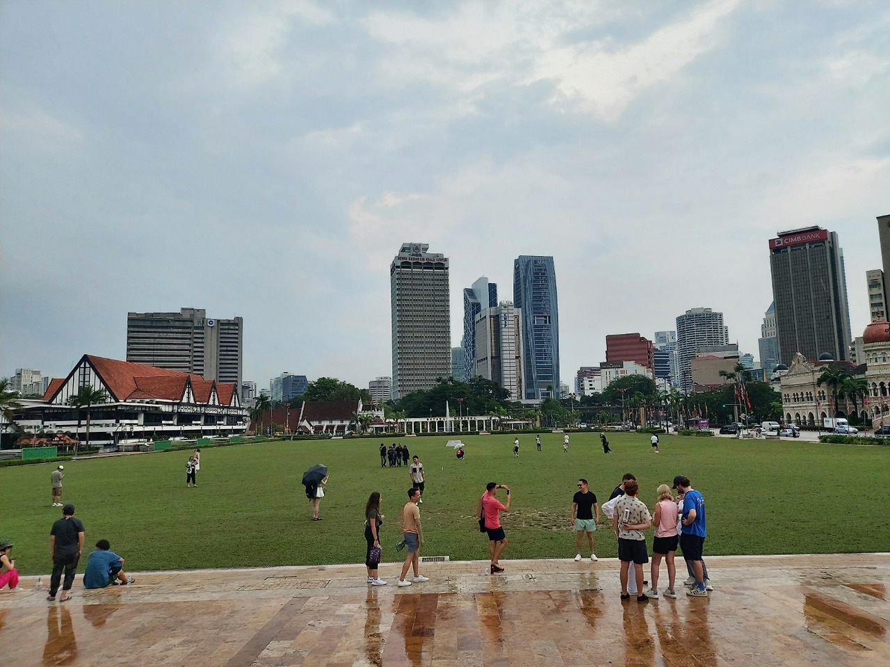 메르데카 잔디.jpg