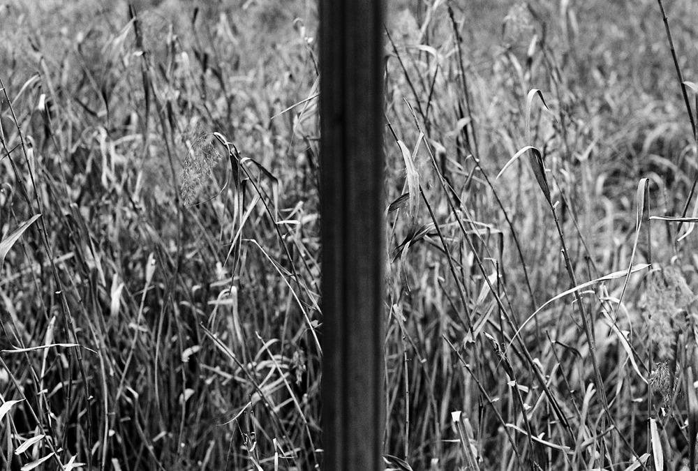 3-000040 copy copy-1 (2).jpg