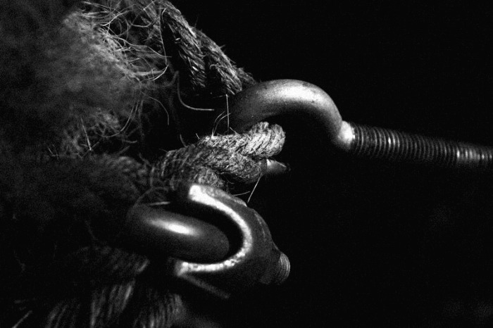 IMG_8974 copy copy-1.jpg