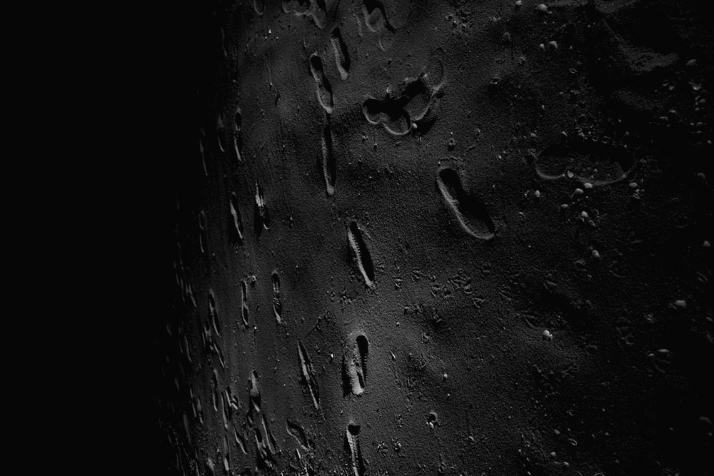 IMG_3897 copy copy_1.jpg