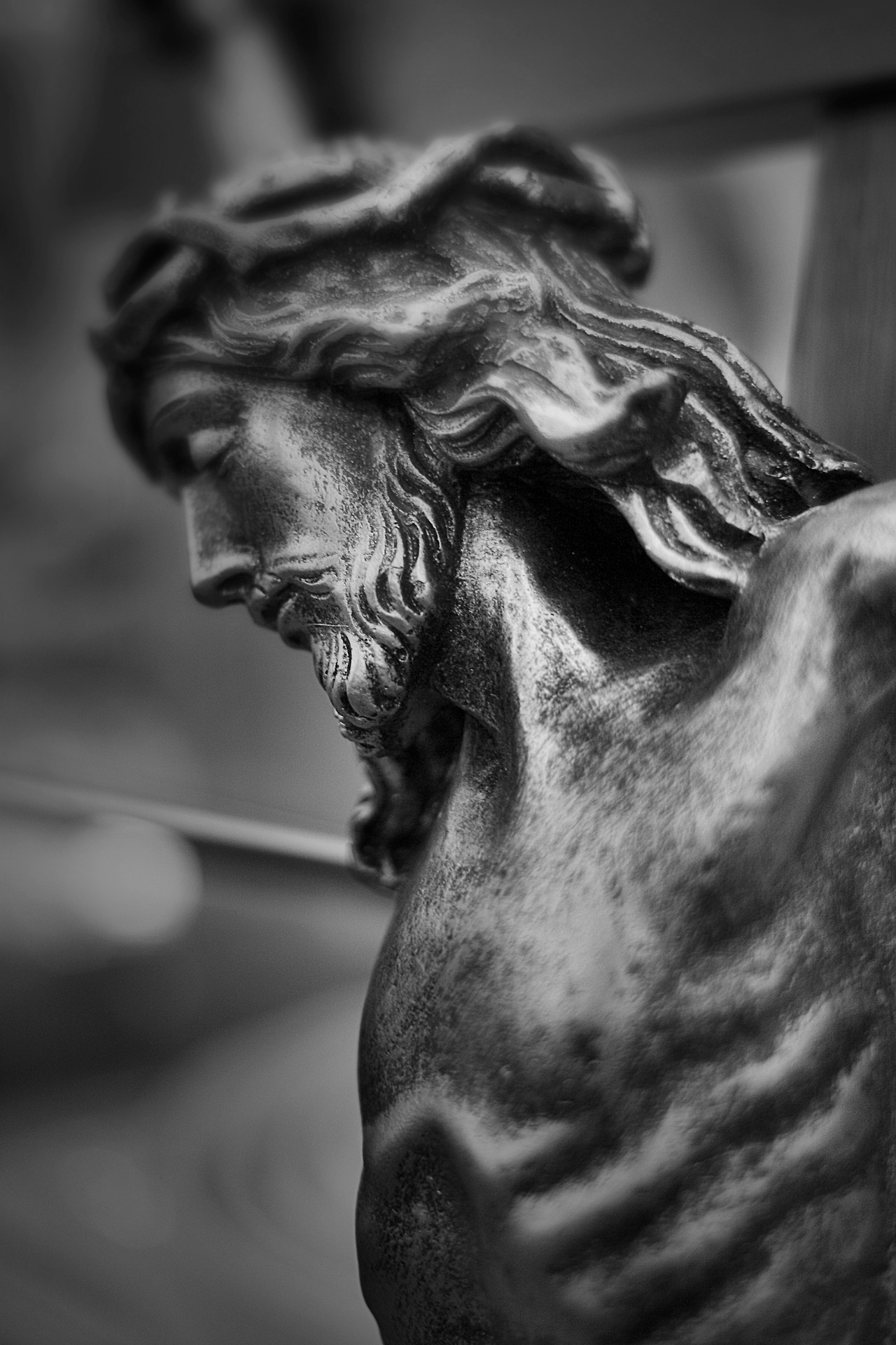 CRW_8383 copy-1 copy.jpg