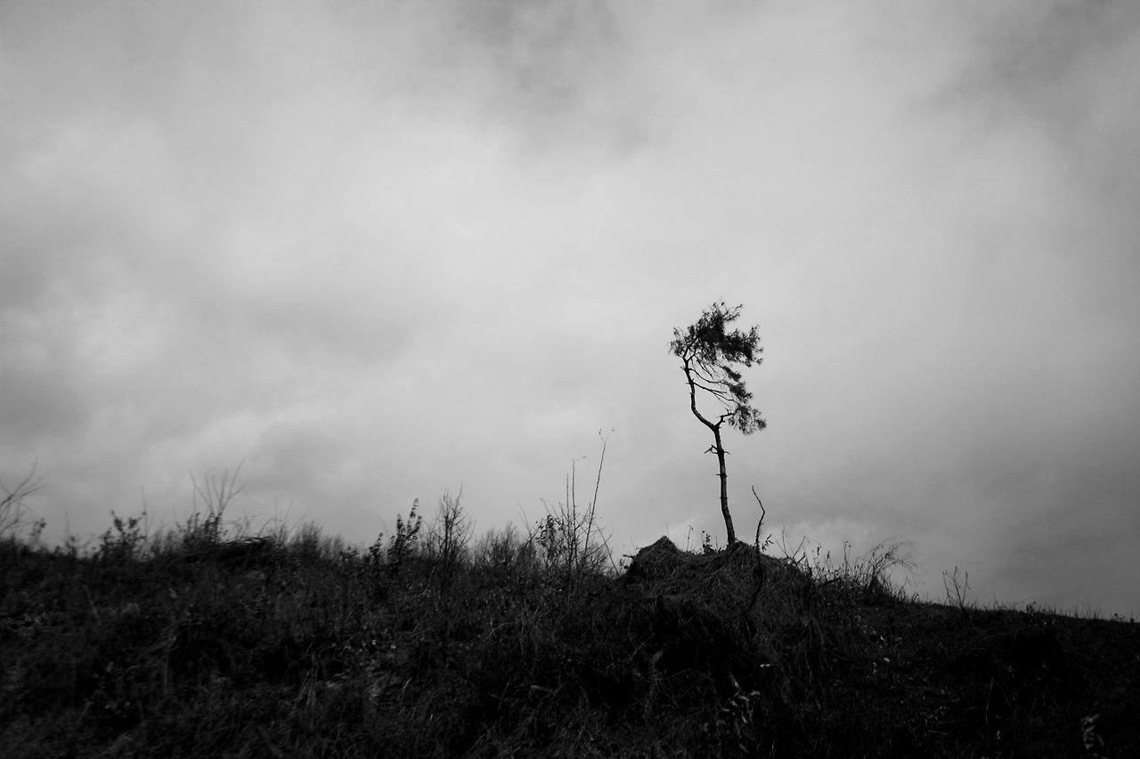 CRW_1380 copy copy.jpg