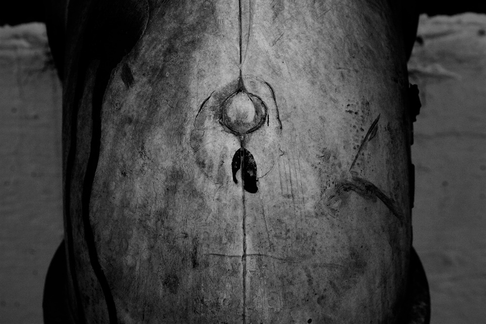 IMG_4736 copy copy_5.jpg