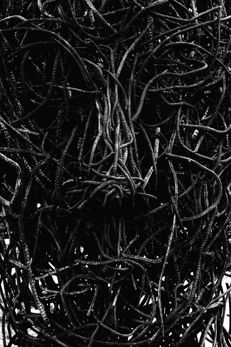 IMG_0867 copy copy-1 copy copy.jpg