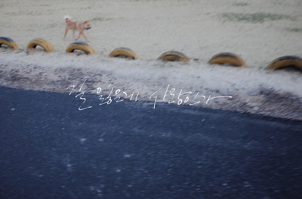 길 잃은게 사랑인가3.jpg