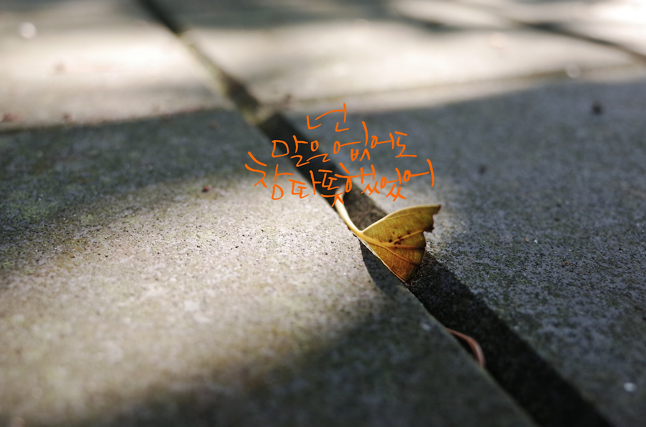 넌 말은 없어도 참 따뜻했었어.jpg