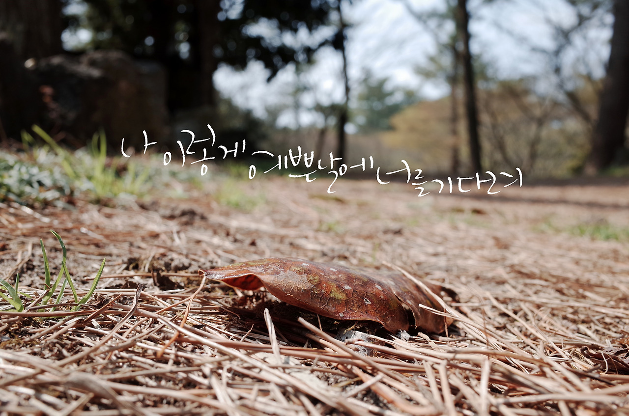 나 이렇게 예쁜 날에 너를 기다려.jpg