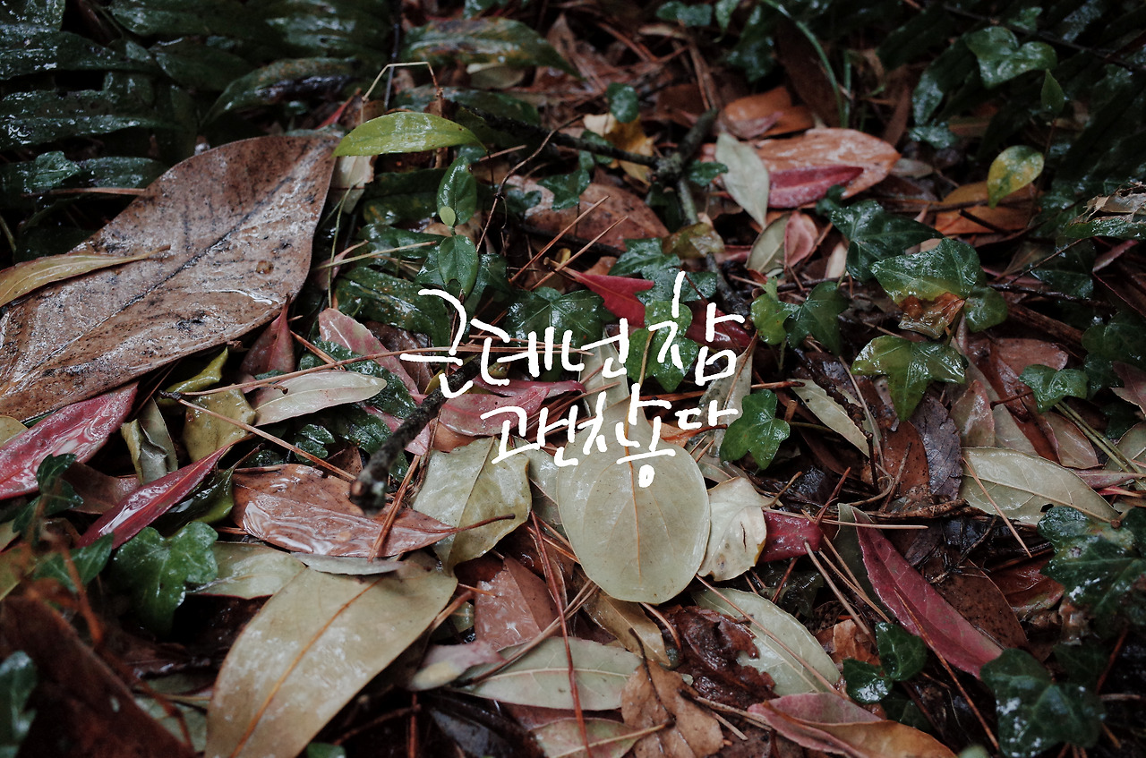 근데 넌 참 괜찮다.jpg