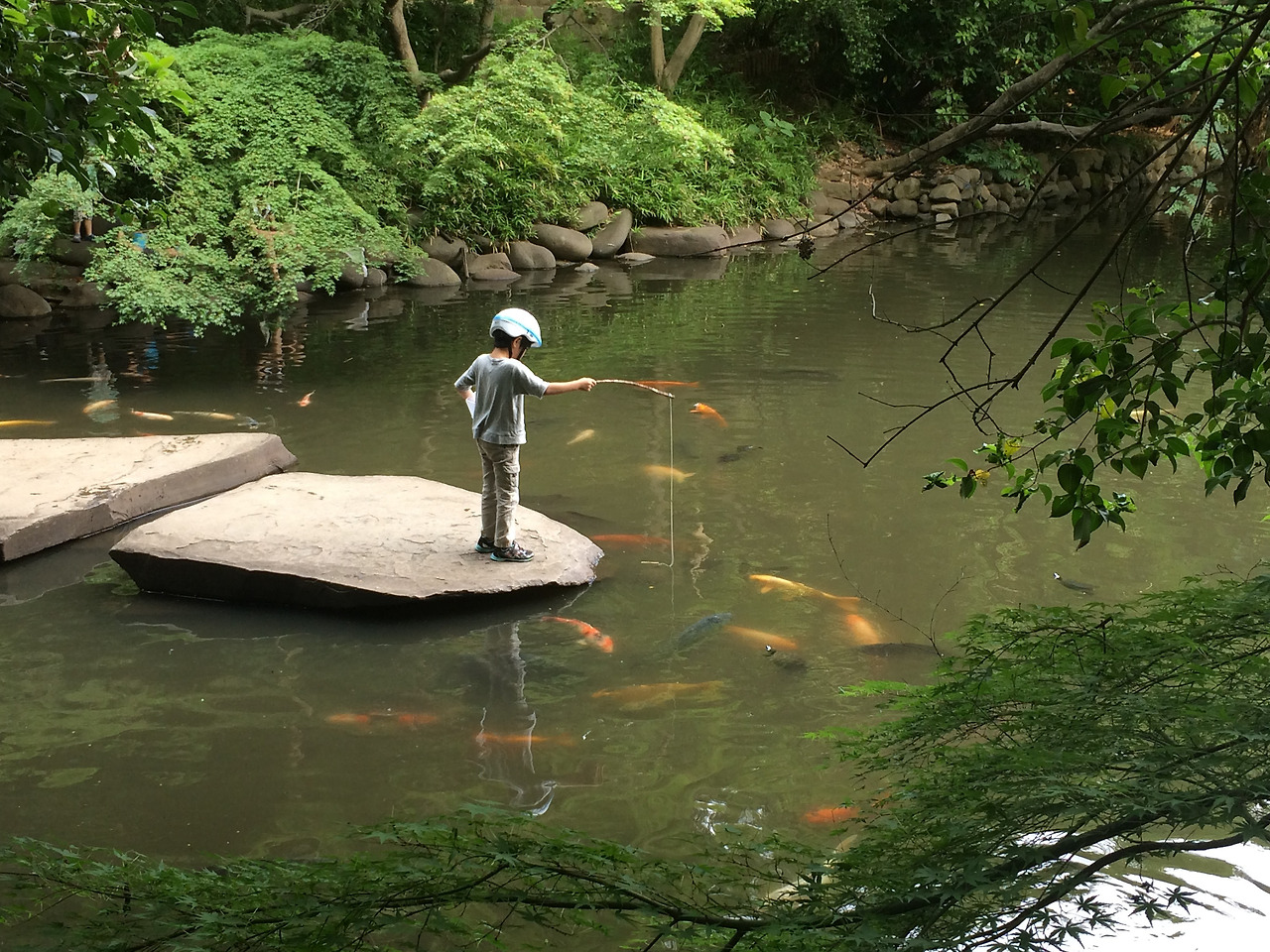 2015-06-07 16.20.21.jpg