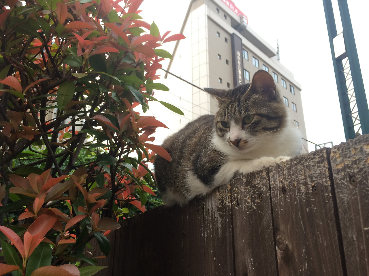 2015-06-07 18.23.32.jpg