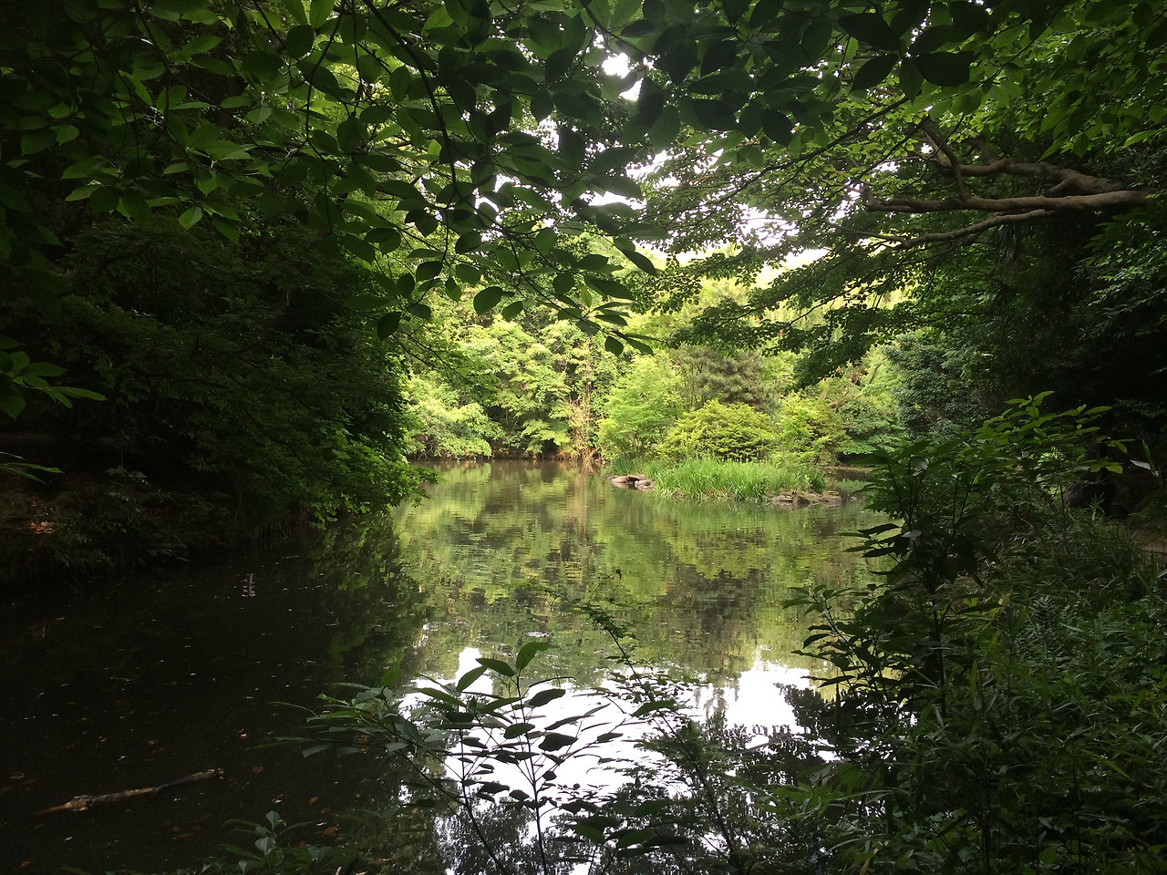 2015-06-07 16.13.59.jpg