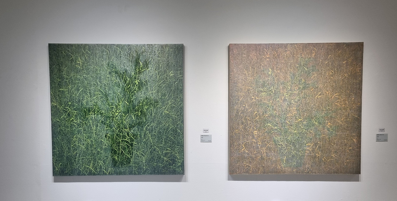 자연의 기억.jpg