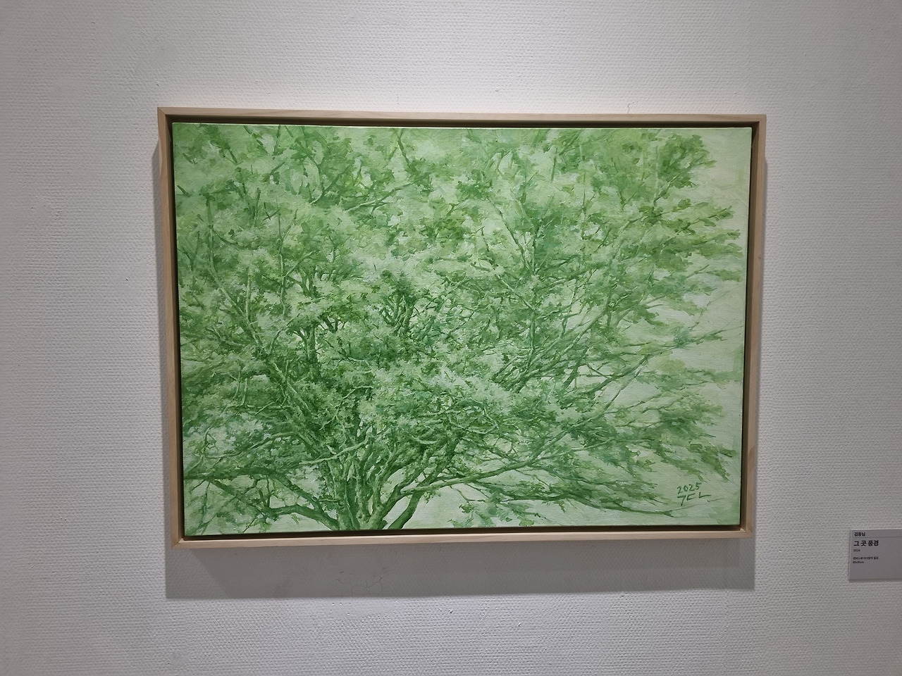 4.김동님, 그곳풍경.jpg