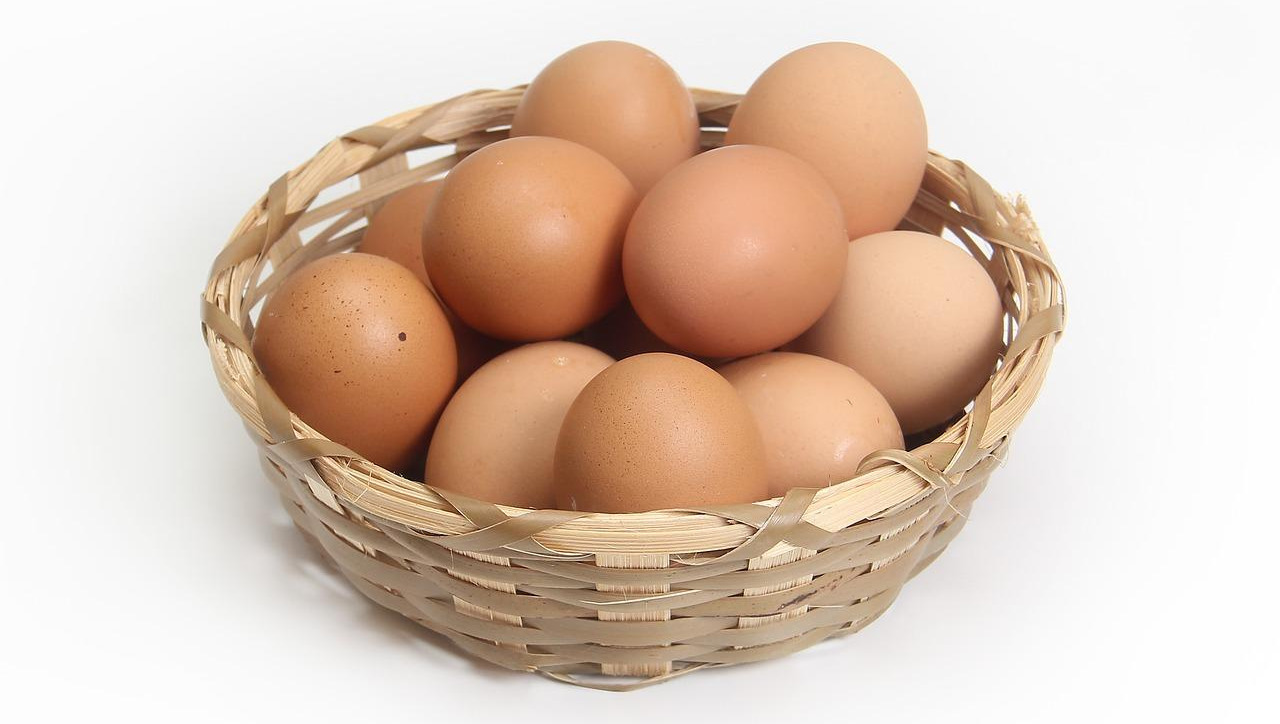 Egg Basket.jpg